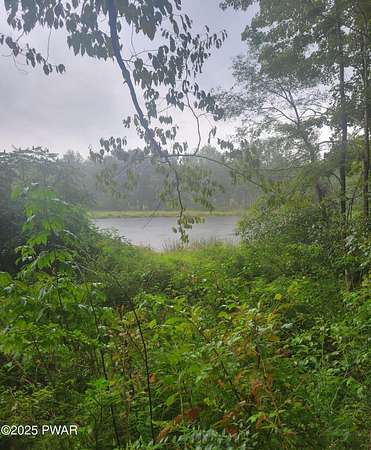 60 Acres of Land for Sale in Lake Ariel, Pennsylvania