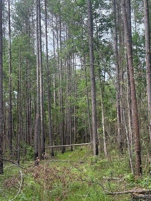 27 Acres of Recreational Land for Sale in Georgetown, Georgia