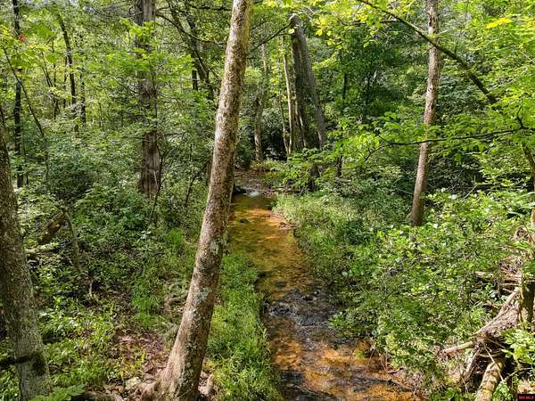 214 Acres of Recreational Land for Sale in Caulfield, Missouri