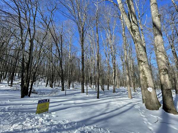 1 Acre of Land for Sale in Pocono Lake, Pennsylvania