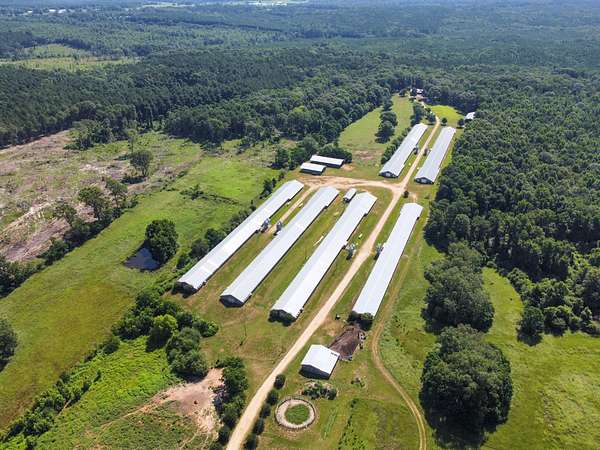 29 Acres of Agricultural Land with Home for Sale in Dubach, Louisiana