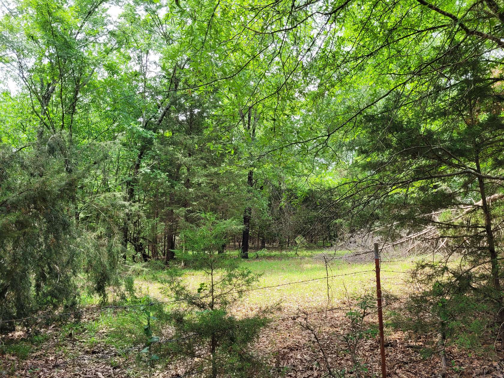 6 Acres of Land for Sale in Clarksville, Texas