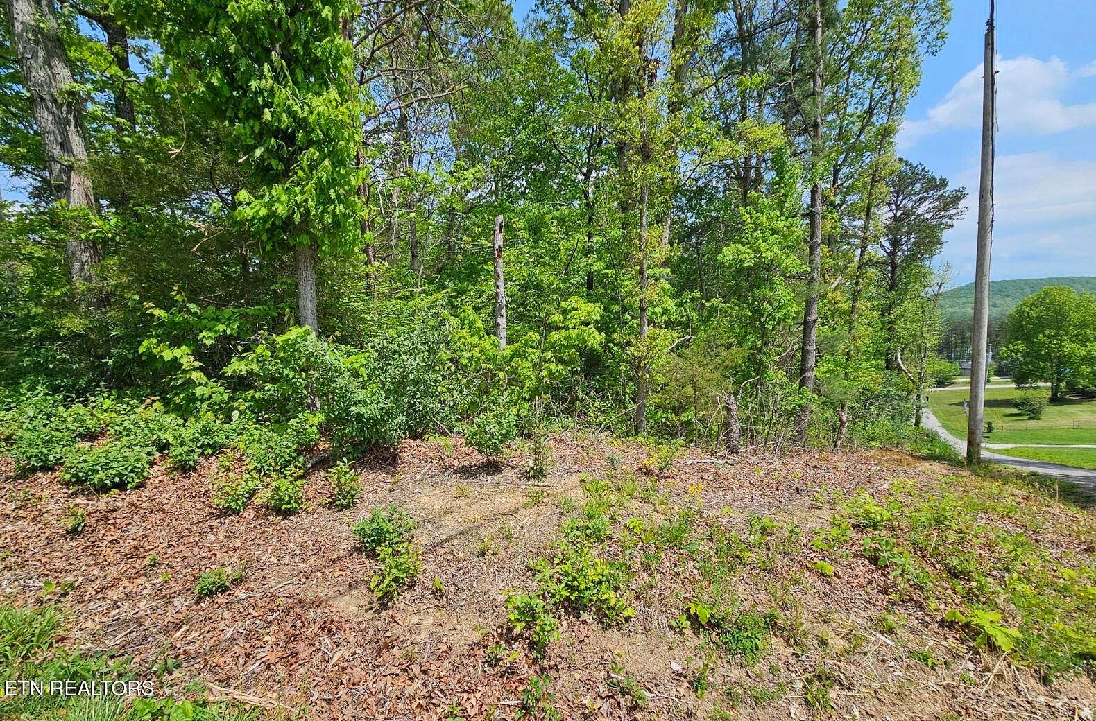 0.4 Acres of Residential Land for Sale in Helenwood, Tennessee