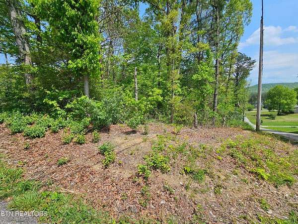 0.4 Acres of Residential Land for Sale in Helenwood, Tennessee
