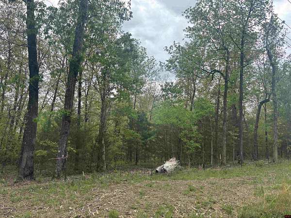 21 Acres of Recreational Land for Sale in Elizabeth, Arkansas