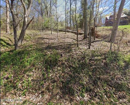 0.51 Acres of Land for Sale in Ten Mile, Tennessee