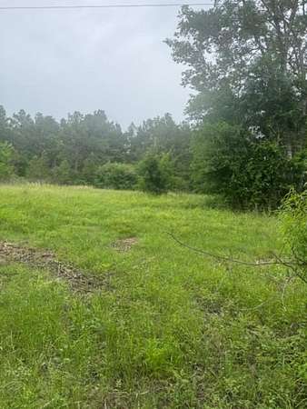 5.6 Acres of Land for Sale in Apple Springs, Texas