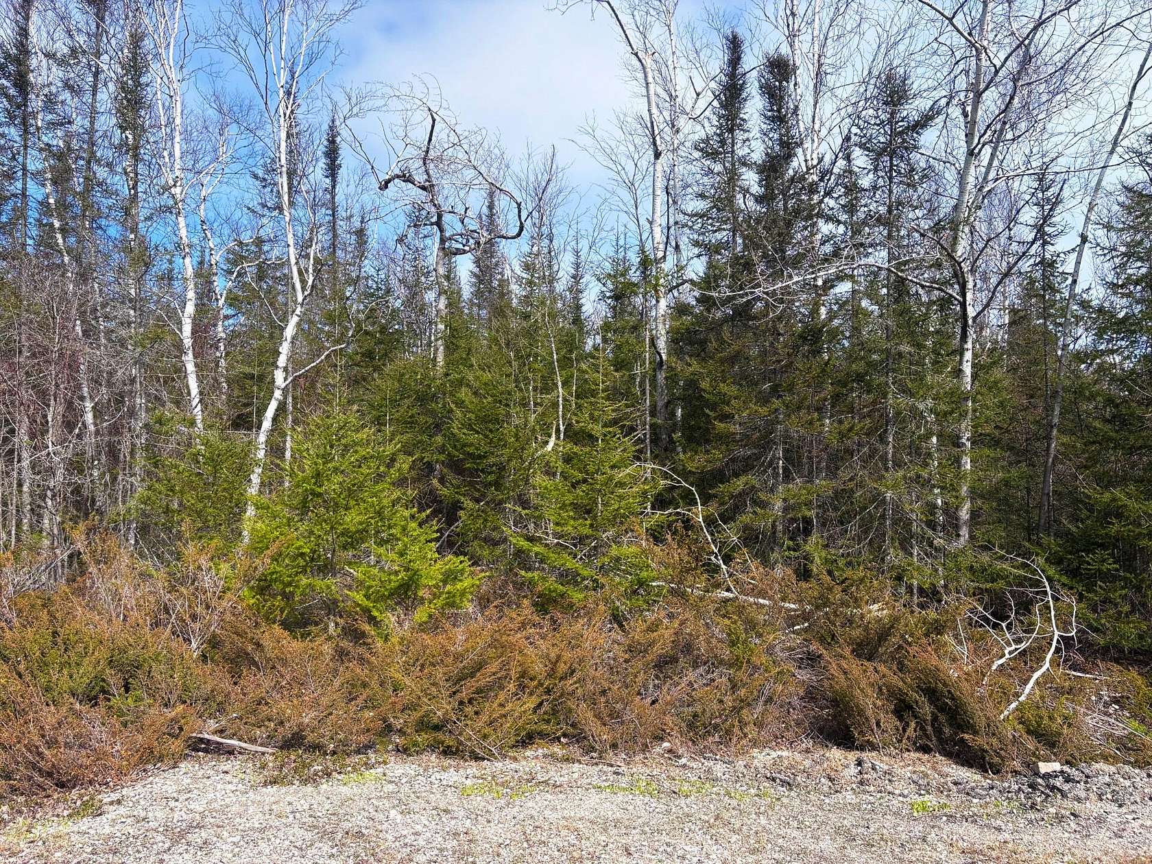 Residential Land for Sale in Presque Isle, Michigan