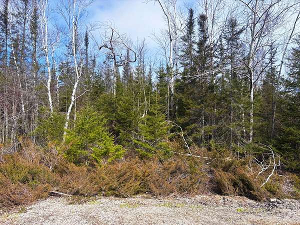 Residential Land for Sale in Presque Isle, Michigan