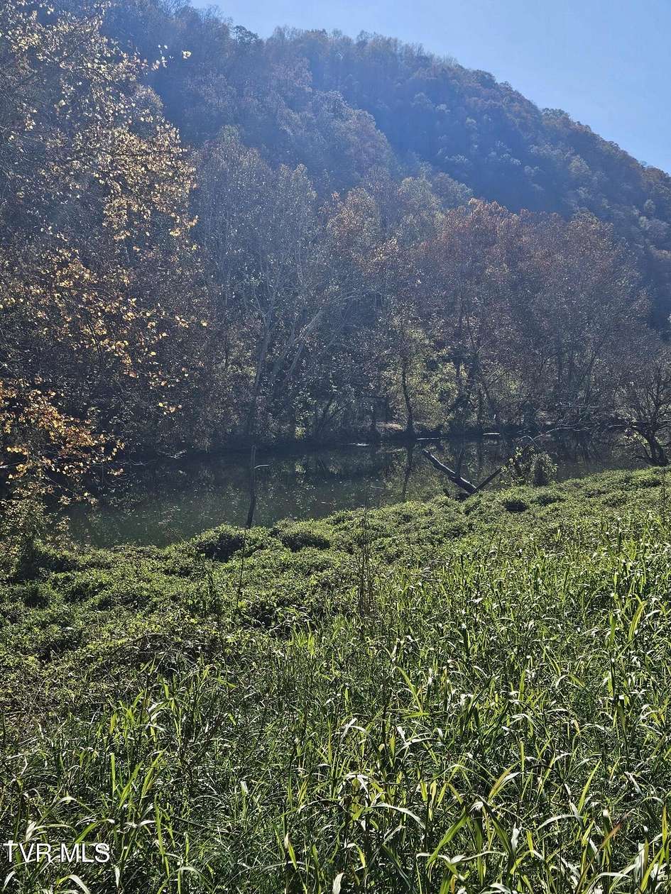 10.5 Acres of Recreational Land for Sale in Duffield, Virginia