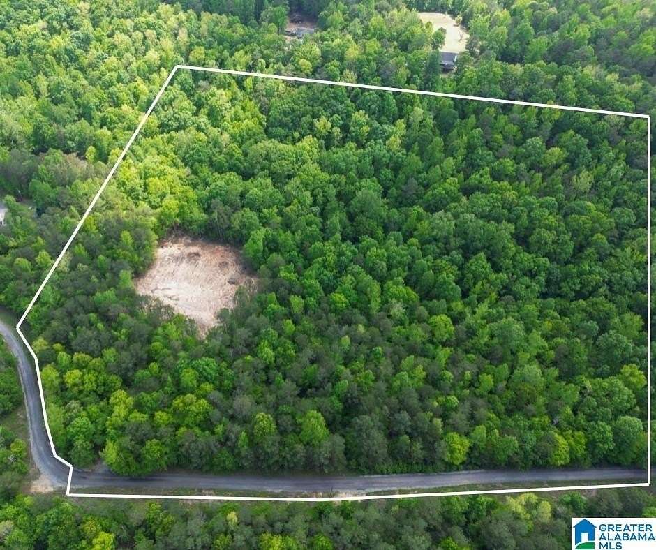 21 Acres of Recreational Land for Sale in Springville, Alabama