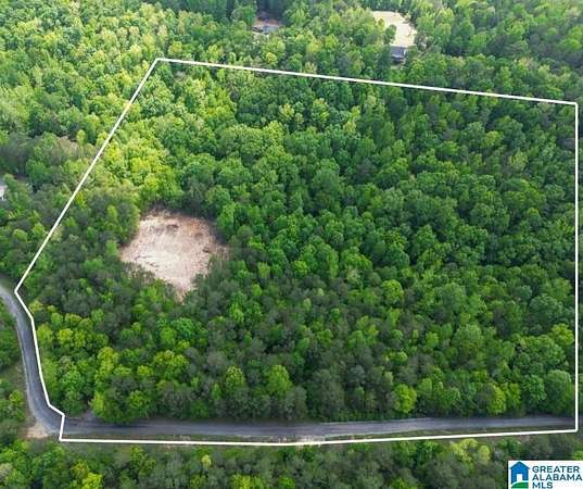 21 Acres of Recreational Land for Sale in Springville, Alabama