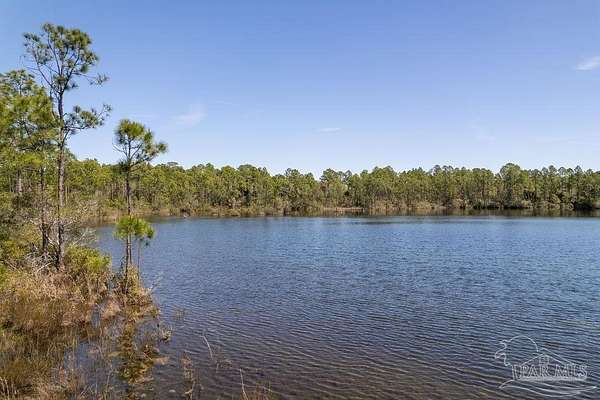 17 Acres of Recreational Land for Sale in Pensacola, Florida