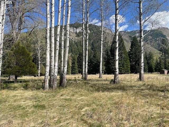 5 Acres of Residential Land for Sale in Lostine, Oregon