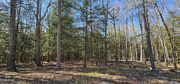 8.4 Acres of Residential Land for Sale in Narrowsburg, New York