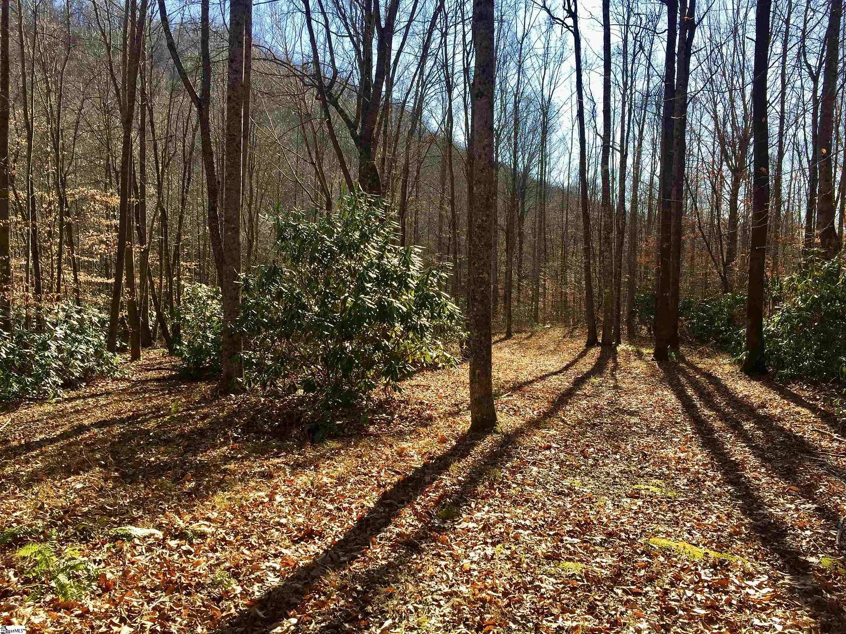 1.73 Acres of Residential Land with Home for Sale in Travelers Rest, South Carolina