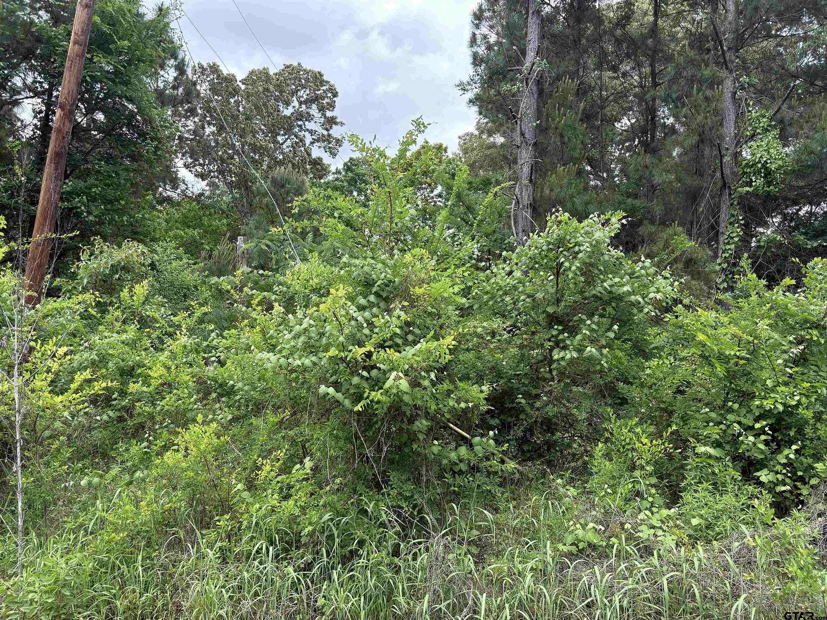 Residential Land for Sale in Bullard, Texas