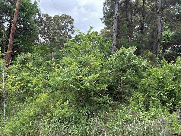 Residential Land for Sale in Bullard, Texas