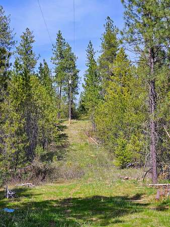 10 Acres of Recreational Land for Sale in Springdale, Washington