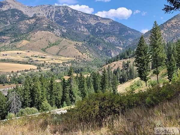 4.5 Acres of Residential Land for Sale in Irwin, Idaho
