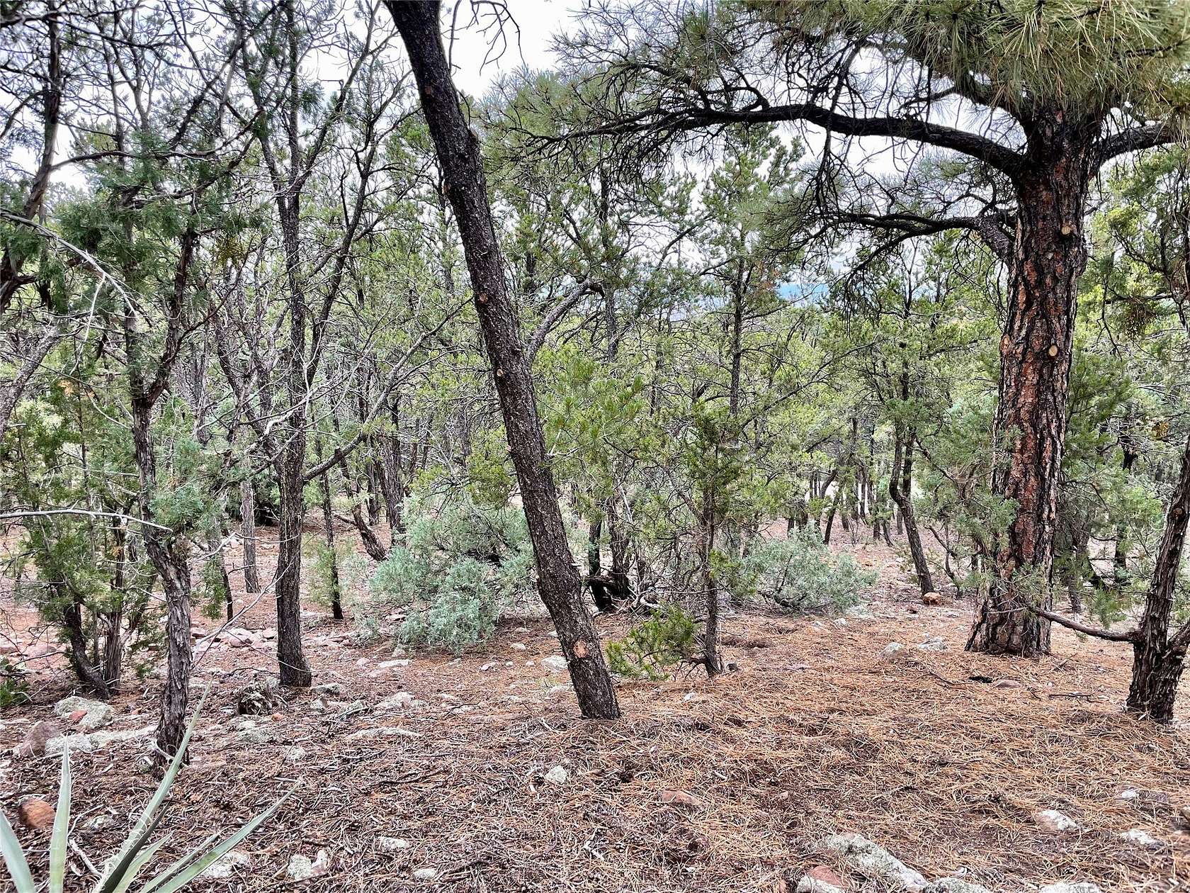 0.42 Acres of Residential Land for Sale in Santa Fe, New Mexico