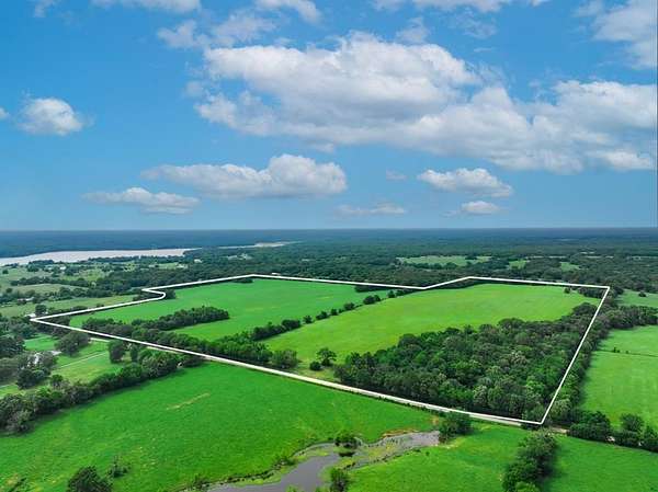 92.1 Acres of Recreational Land & Farm for Sale in Yantis, Texas