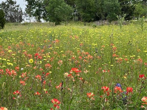 1.1 Acres of Land for Sale in Moody, Texas