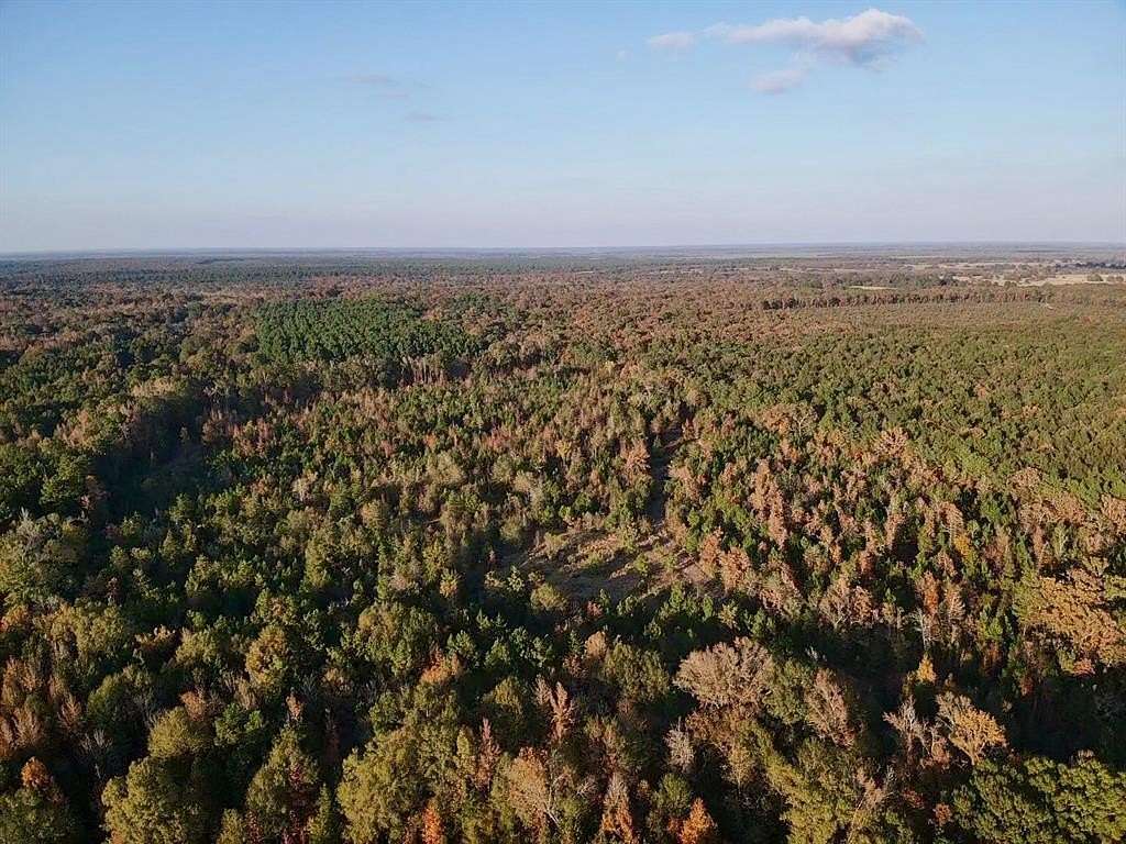 90.4 Acres of Recreational Land for Sale in Avery, Texas