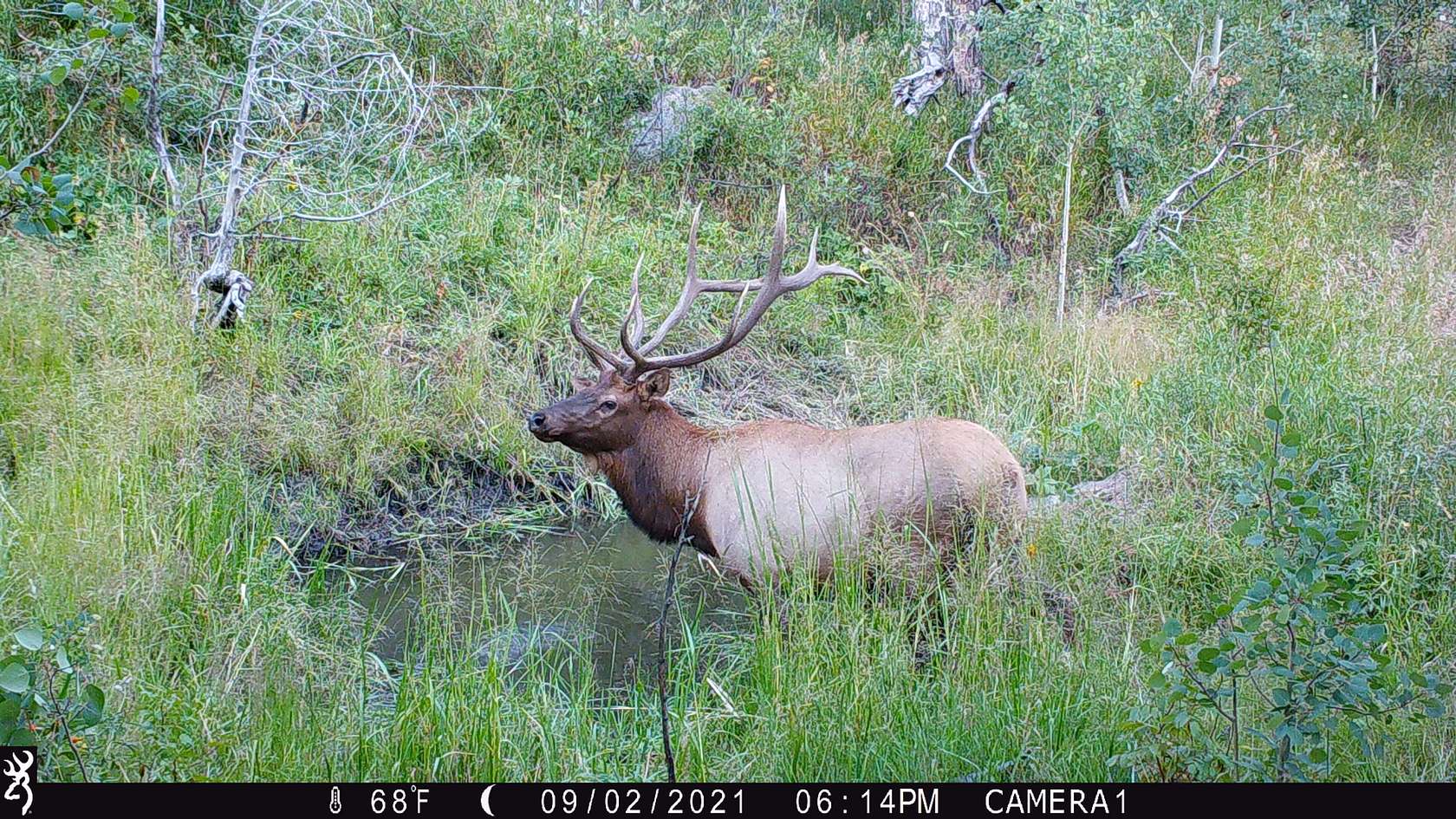 203 Acres of Recreational Land for Sale in Bellvue, Colorado