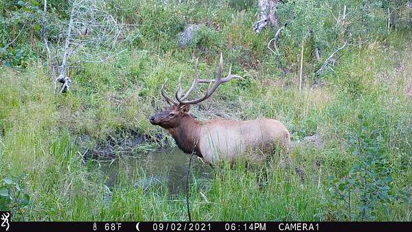 203 Acres of Recreational Land for Sale in Bellvue, Colorado