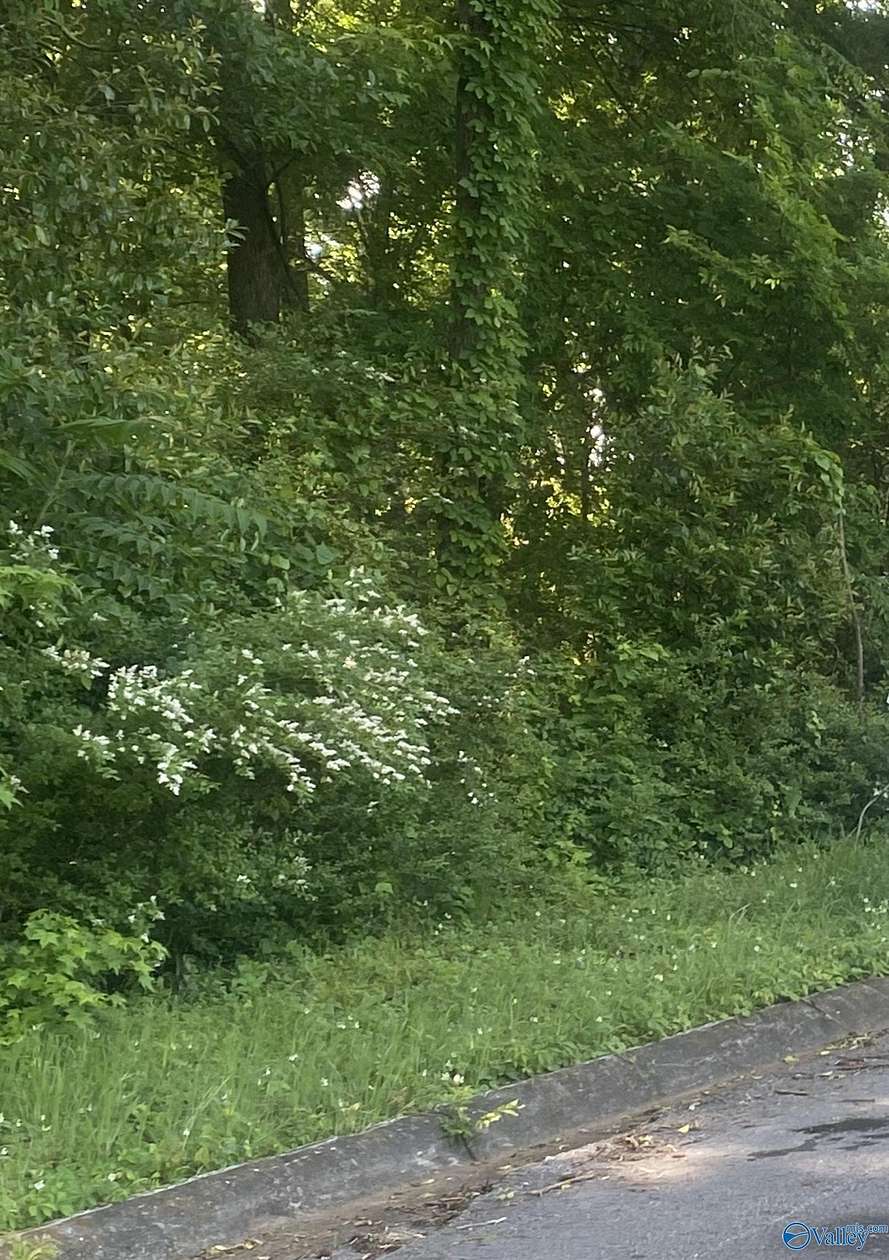 Residential Land for Sale in Florence, Alabama