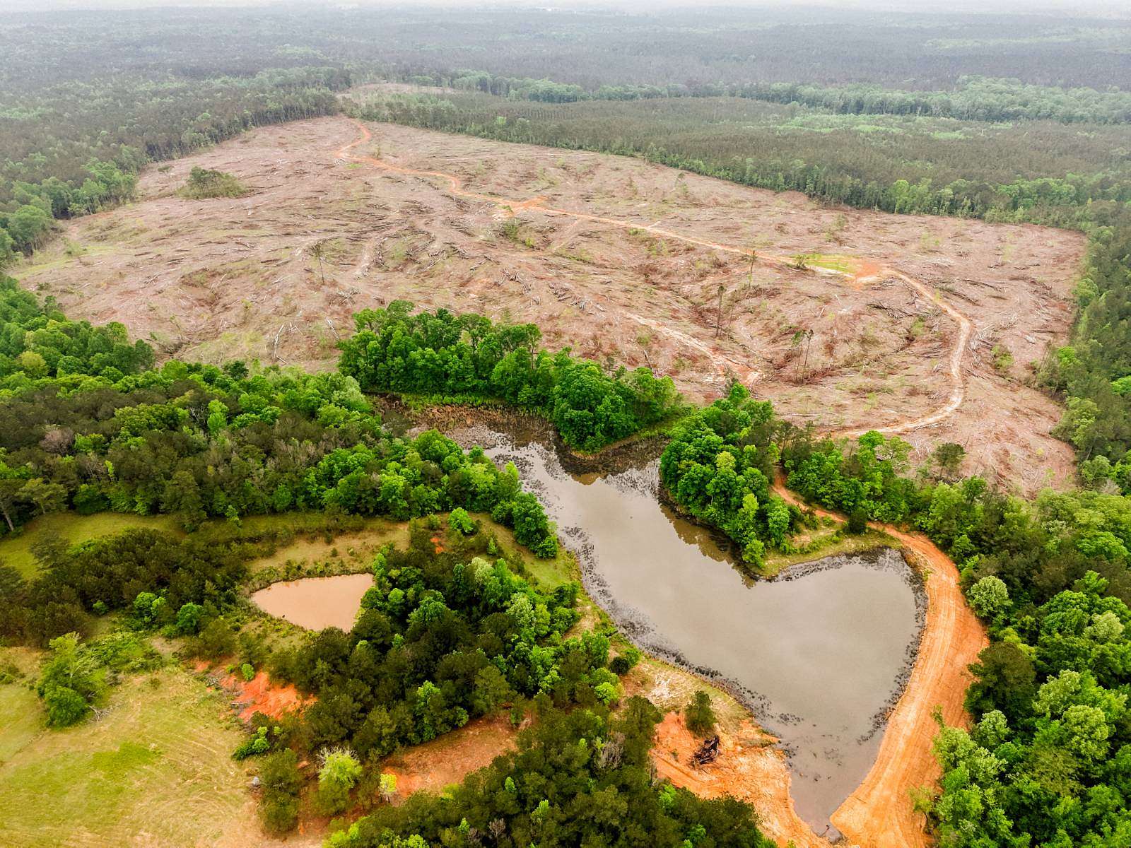 100 Acres of Recreational Land for Sale in Madison, Mississippi