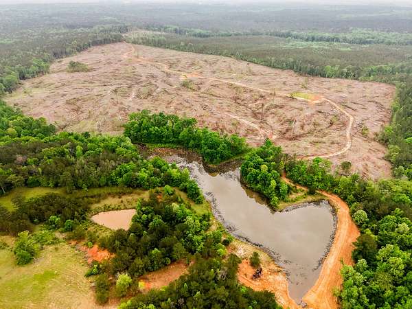 100 Acres of Recreational Land for Sale in Madison, Mississippi