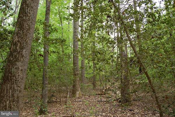 30 Acres of Recreational & Residential Land for Sale in Rappahannock Academy, Virginia