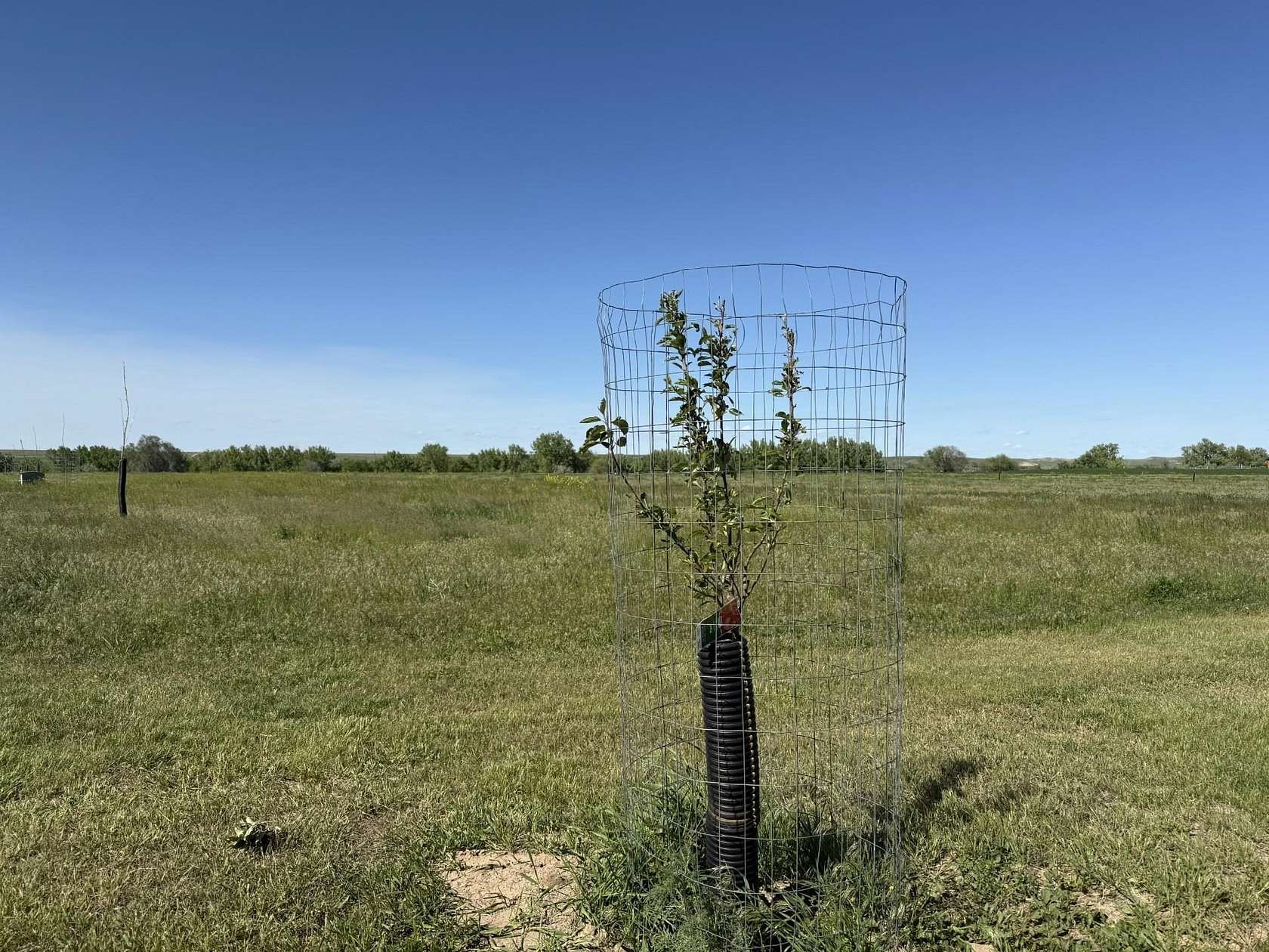 2 Acres of Residential Land for Sale in Belle Fourche, South Dakota