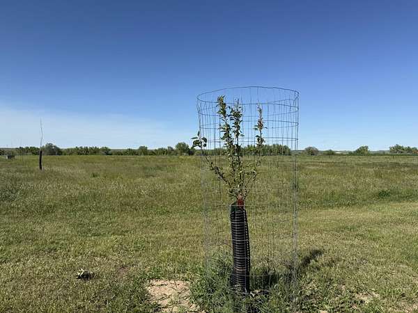 2 Acres of Residential Land for Sale in Belle Fourche, South Dakota