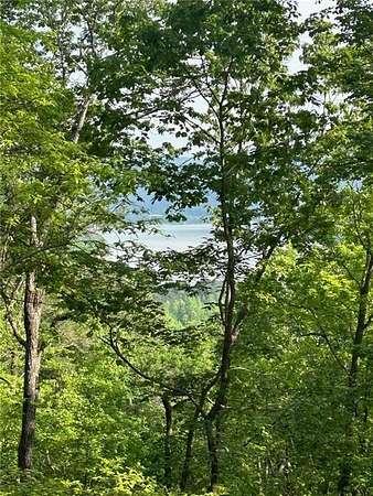 2 Acres of Residential Land for Sale in Ranger, Georgia