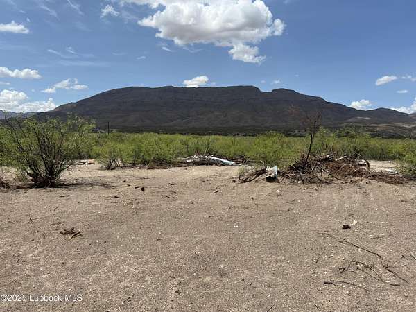 10 Acres of Recreational & Residential Land for Sale in Presidio, Texas
