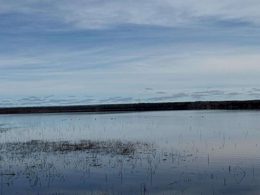 10 Acres of Residential Land for Sale in Engadine, Michigan