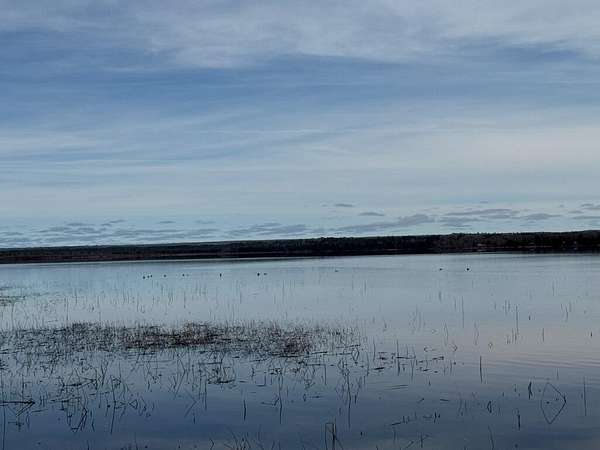 10 Acres of Residential Land for Sale in Engadine, Michigan