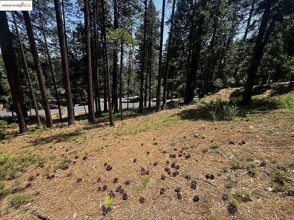 0.39 Acres of Residential Land for Sale in Arnold, California