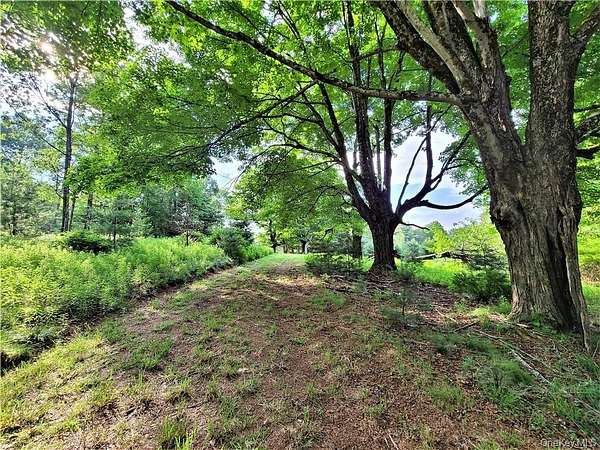 377 Acres of Land for Sale in White Lake, New York