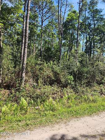 1 Acre of Residential Land for Sale in Boiling Spring Lakes, North Carolina
