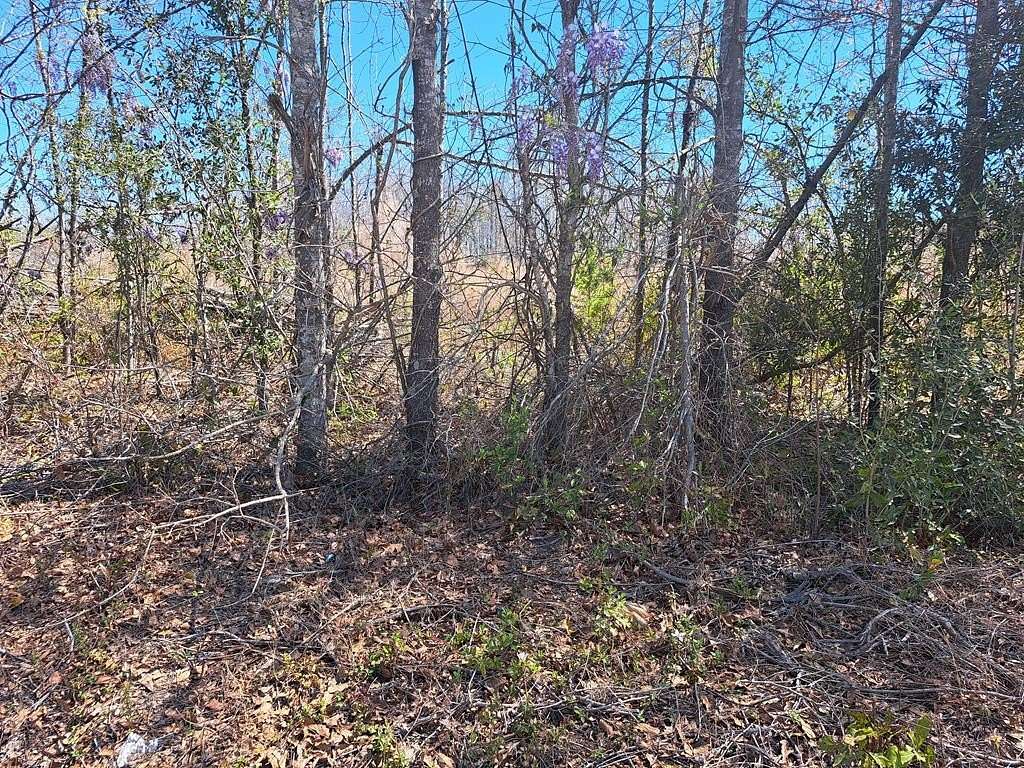 7 Acres of Residential Land for Sale in Santee, South Carolina