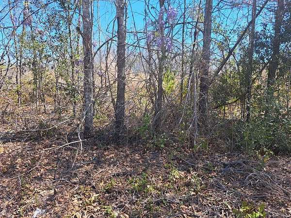 7 Acres of Residential Land for Sale in Santee, South Carolina