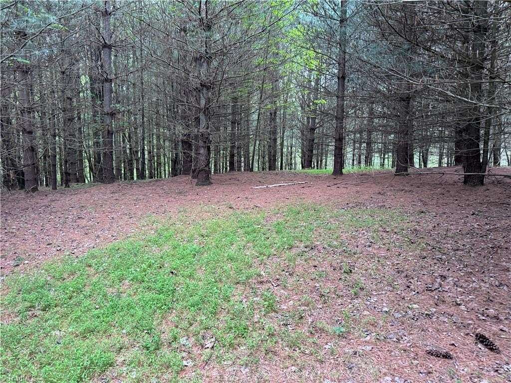 5 Acres of Residential Land for Sale in Ararat, North Carolina