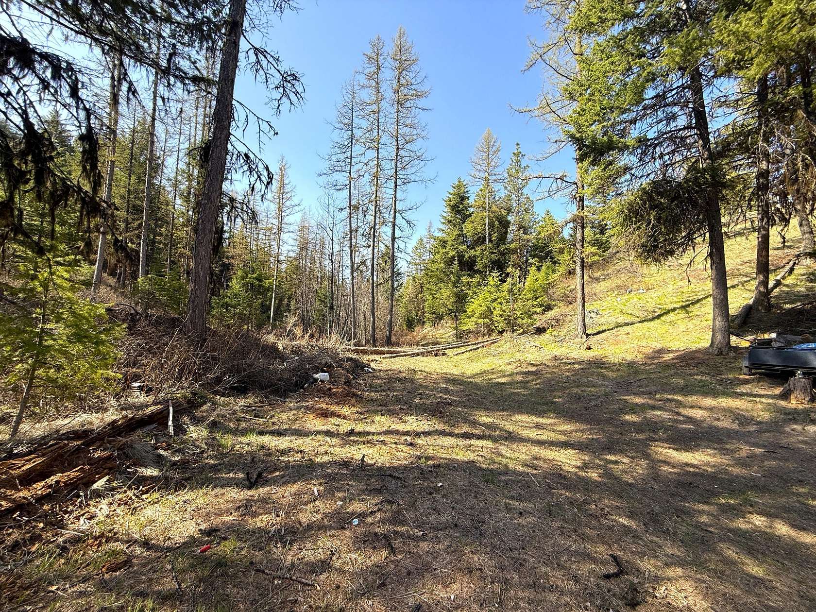 40 Acres of Recreational Land for Sale in Wauconda, Washington