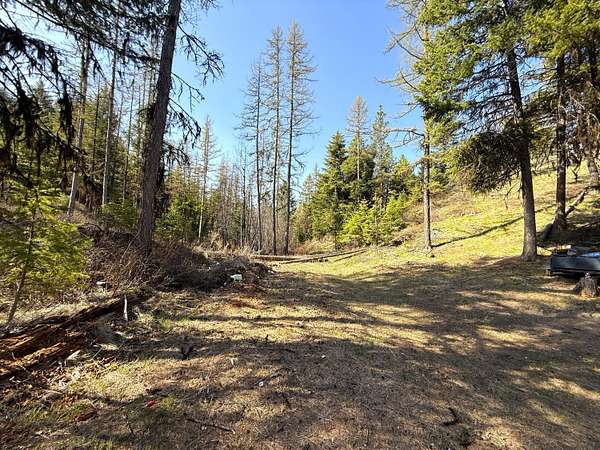40 Acres of Recreational Land for Sale in Wauconda, Washington