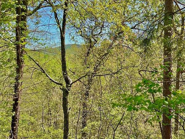 1.46 Acres of Land for Sale in Ranger, Georgia