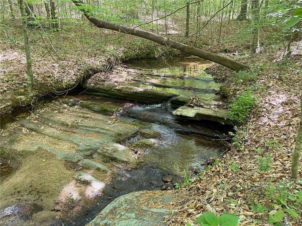 64.9 Acres of Recreational Land for Sale in Reidsville, North Carolina